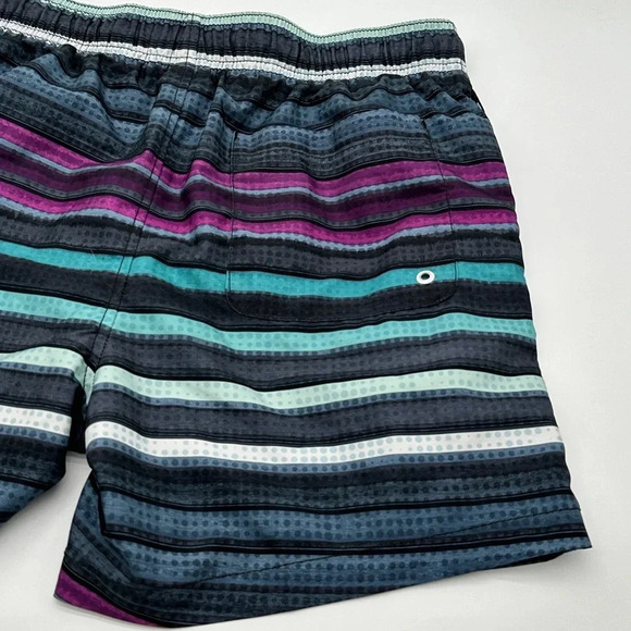 Speedo Men's 5.5" Volley Anthracite Cliff Stripe Swim Trunk Size M - Picture 8 of 9